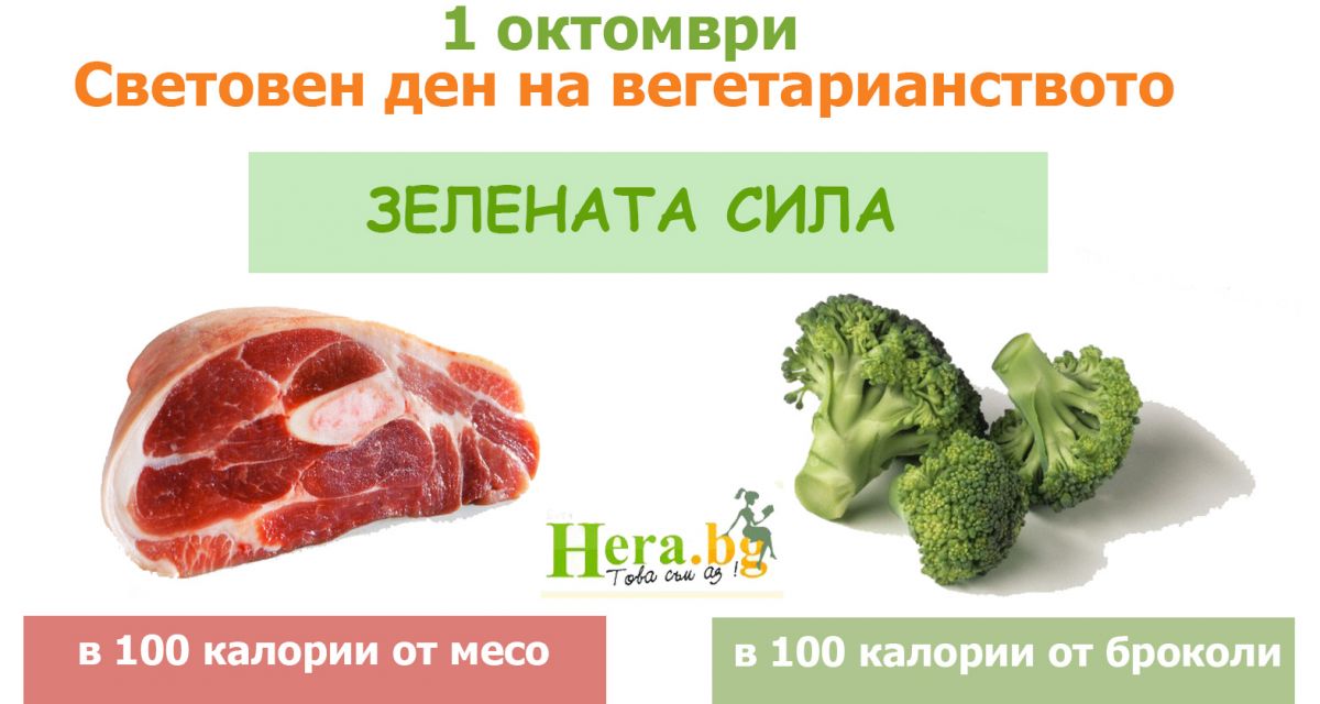 fbimg.php?i=6733