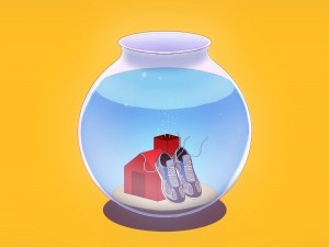 � ����: ������ ���������� �� 20 ������ (����������)