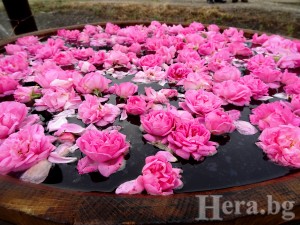 ������� �� ������